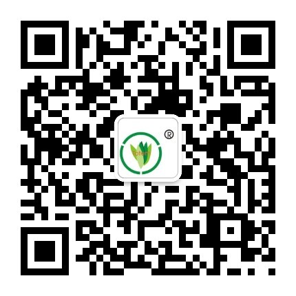 &#24320;&#20113;&#32593;&#39029;&#29256;